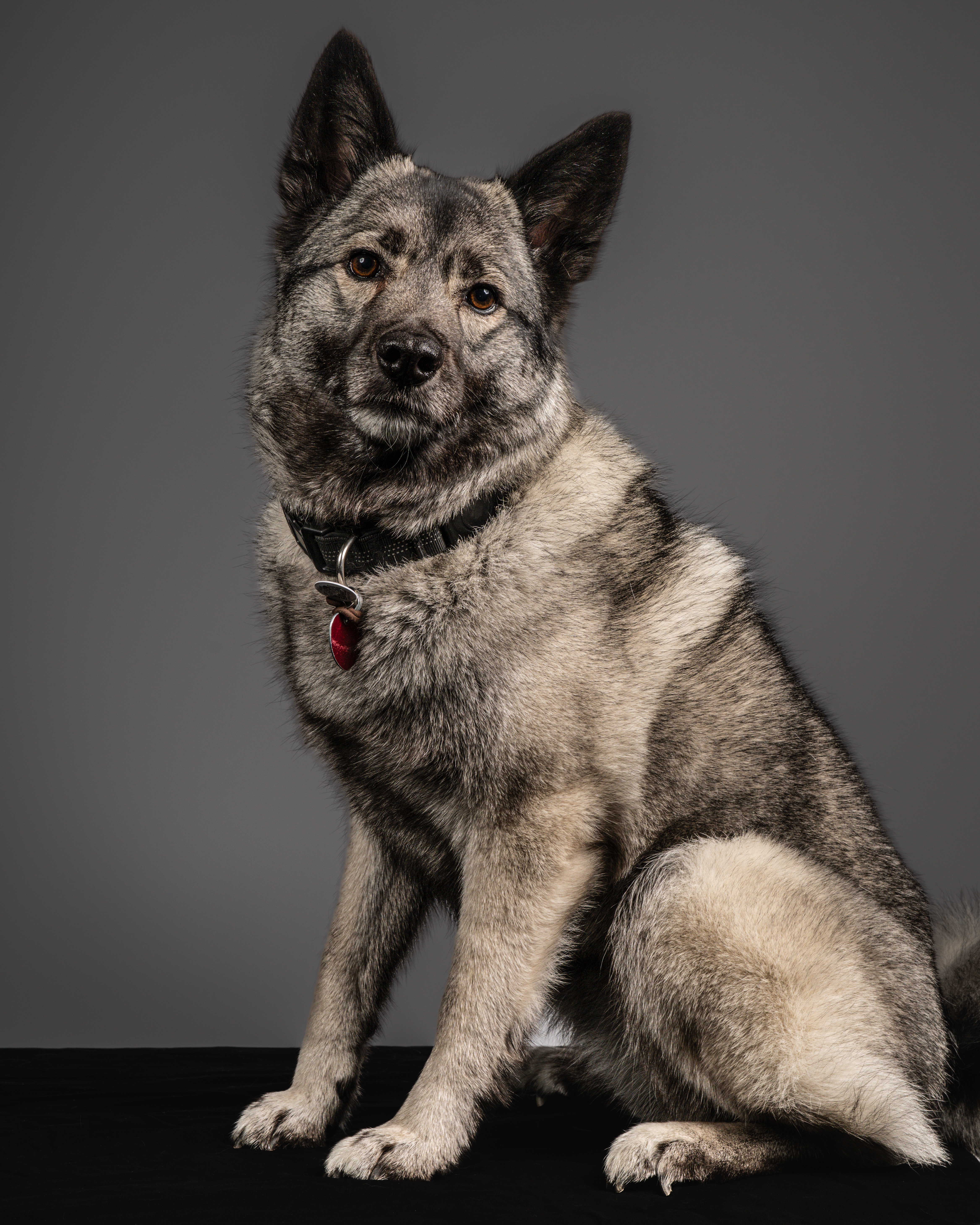Kenai